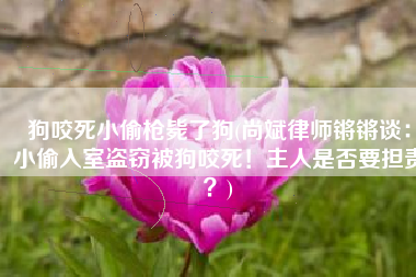 狗咬死小偷枪毙了狗(尚斌律师锵锵谈：小偷入室盗窃被狗咬死！主人是否要担责？)