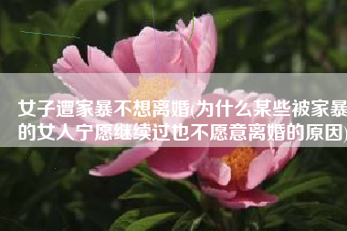 女子遭家暴不想离婚(为什么某些被家暴的女人宁愿继续过也不愿意离婚的原因)