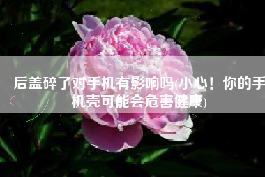 后盖碎了对手机有影响吗(小心！你的手机壳可能会危害健康)