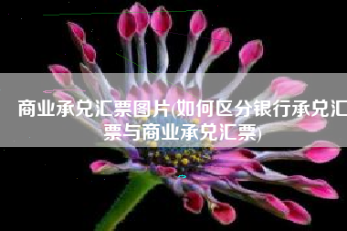 商业承兑汇票图片(如何区分银行承兑汇票与商业承兑汇票)