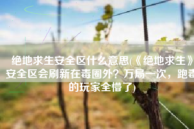 绝地求生安全区什么意思(《绝地求生》安全区会刷新在毒圈外？万局一次，跑毒的玩家全懵了)