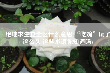 绝地求生安全区什么意思(“吃鸡”玩了这么久 这些术语你知道吗)