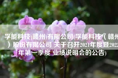 孚能科技(赣州)有限公司(孚能科技（赣州）股份有限公司 关于召开2021年度暨2022年第一季度 业绩说明会的公告)