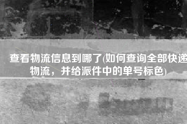 查看物流信息到哪了(如何查询全部快递物流，并给派件中的单号标色)
