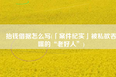 抬钱借据怎么写(「案件纪实」被私欲吞噬的“老好人”)
