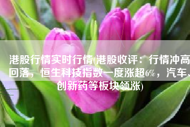 港股行情实时行情(港股收评：行情冲高回落，恒生科技指数一度涨超6%，汽车、创新药等板块领涨)