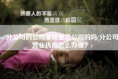 分公司的公司章程是总公司的吗(分公司营业执照怎么办理？)