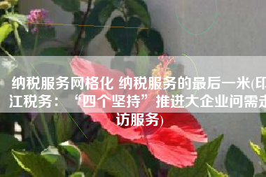 纳税服务网格化 纳税服务的最后一米(印江税务：“四个坚持”推进大企业问需走访服务)
