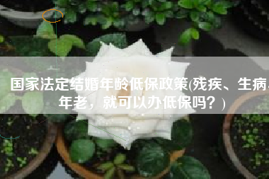 国家法定结婚年龄低保政策(残疾、生病、年老，就可以办低保吗？)