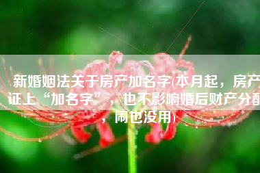 新婚姻法关于房产加名字(本月起，房产证上“加名字”，也不影响婚后财产分配，闹也没用)