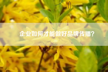 企业如何才能做好品牌传播？