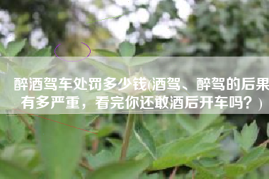 醉酒驾车处罚多少钱(酒驾、醉驾的后果有多严重，看完你还敢酒后开车吗？)