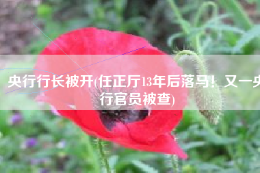 央行行长被开(任正厅13年后落马！又一央行官员被查)