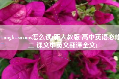 anglo-saxons怎么读(新人教版 高中英语必修二 课文中英文翻译全文)