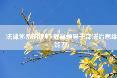 法律体系的统帅(提高领导干部法治思维能力)