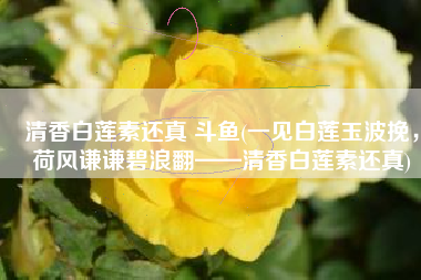 清香白莲素还真 斗鱼(一见白莲玉波挽，荷风谦谦碧浪翻——清香白莲素还真)