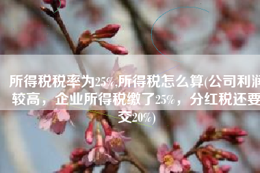 所得税税率为25%,所得税怎么算(公司利润较高，企业所得税缴了25%，分红税还要交20%)