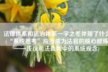 法律体系和法治体系一字之差体现了什么(“系统思考”应当成为法官的核心修炼——浅议司法裁判中的系统观念)