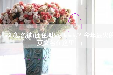 milo怎么读(还在叫Angelababy？今年最火的英文名在这里！)