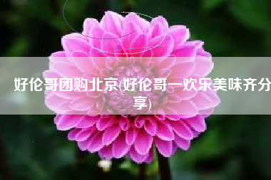 好伦哥团购北京(好伦哥一欢乐美味齐分享)