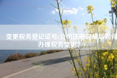 变更税务登记证号(公司注册完成后如何办理税务变更？)