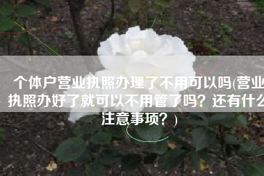 个体户营业执照办理了不用可以吗(营业执照办好了就可以不用管了吗？还有什么注意事项？)