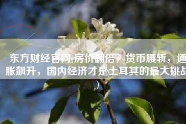 东方财经官网(房价翻倍，货币腰斩，通胀飙升，国内经济才是土耳其的最大挑战)