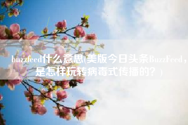 buzzfeed什么意思(美版今日头条BuzzFeed，是怎样玩转病毒式传播的？)