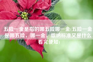 五险一金是指的哪五险哪一金(五险一金，是哪五险，哪一金，缴纳标准又是什么，看完便知)