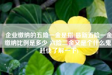 企业缴纳的五险一金是指(最新五险一金缴纳比例是多少 六险二金又是个什么鬼 赶快了解一下)