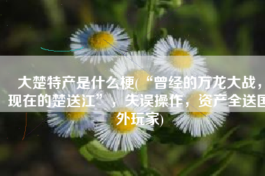 大楚特产是什么梗(“曾经的万龙大战，现在的楚送江”，失误操作，资产全送国外玩家)