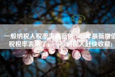 一般纳税人税率表最新的(2022年最新增值税税率表来了，一般纳税人赶快收藏)