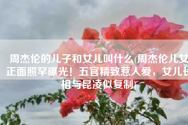 周杰伦的儿子和女儿叫什么(周杰伦儿女正面照罕曝光！五官精致惹人爱，女儿长相与昆凌似复制)