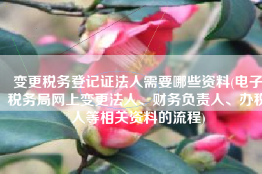 变更税务登记证法人需要哪些资料(电子税务局网上变更法人、财务负责人、办税人等相关资料的流程)