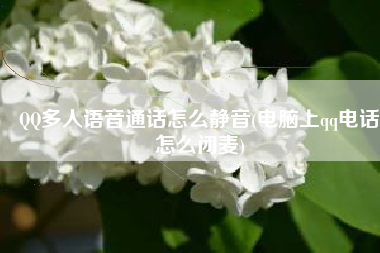 QQ多人语音通话怎么静音(电脑上qq电话怎么闭麦)