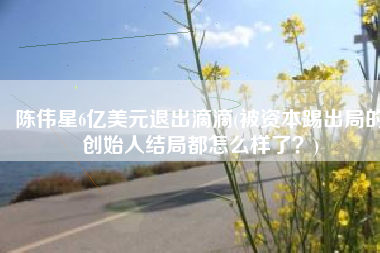 陈伟星6亿美元退出滴滴(被资本踢出局的创始人结局都怎么样了？)