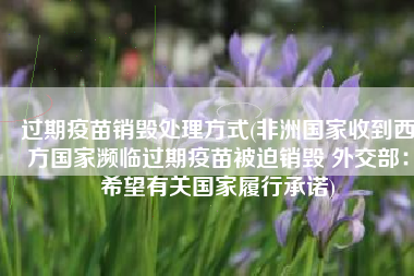 过期疫苗销毁处理方式(非洲国家收到西方国家濒临过期疫苗被迫销毁 外交部：希望有关国家履行承诺)