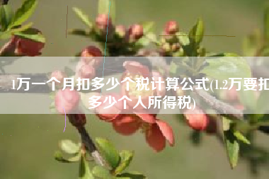 1万一个月扣多少个税计算公式(1.2万要扣多少个人所得税)