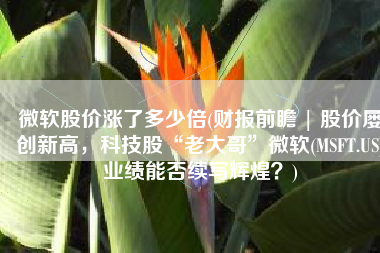 微软股价涨了多少倍(财报前瞻 | 股价屡创新高，科技股“老大哥”微软(MSFT.US)业绩能否续写辉煌？)