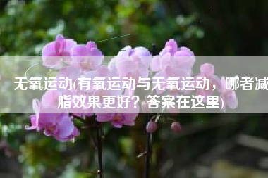 无氧运动(有氧运动与无氧运动，哪者减脂效果更好？答案在这里)