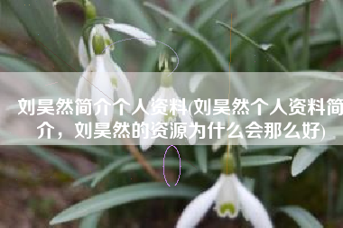 刘昊然简介个人资料(刘昊然个人资料简介，刘昊然的资源为什么会那么好)