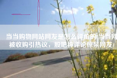 当当购物网站网友是怎么评价的(当当网被收购引热议，股吧神评论惊呆网友)