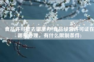 食品许可证去哪里办(食品经营许可证在哪里办理，有什么限制条件)