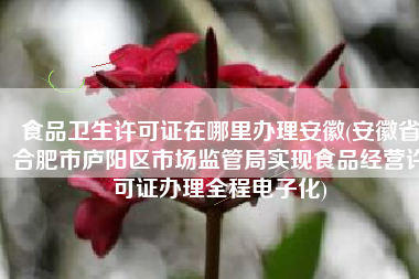食品卫生许可证在哪里办理安徽(安徽省合肥市庐阳区市场监管局实现食品经营许可证办理全程电子化)