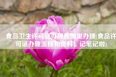 食品卫生许可证办理在哪里办理(食品许可证办理流程和资料！记笔记啦)