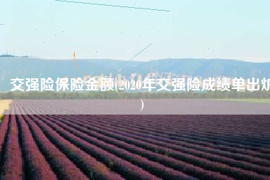 交强险保险金额(2020年交强险成绩单出炉)
