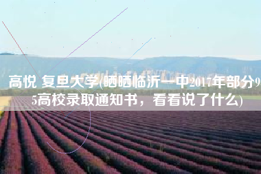高悦 复旦大学(晒晒临沂一中2017年部分985高校录取通知书，看看说了什么)