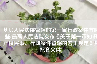 基层人民法院管辖的第一审行政案件有哪些(最高人民法院发布《关于第一审知识产权民事、行政案件管辖的若干规定》及配套文件)
