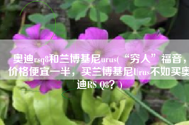 奥迪rsq8和兰博基尼urus(“穷人”福音，价格便宜一半，买兰博基尼Urus不如买奥迪RS Q8？)