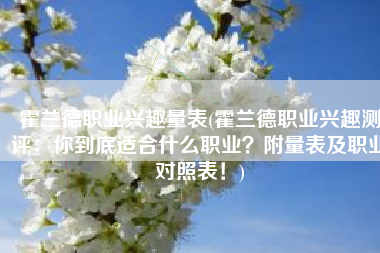 霍兰德职业兴趣量表(霍兰德职业兴趣测评：你到底适合什么职业？附量表及职业对照表！)